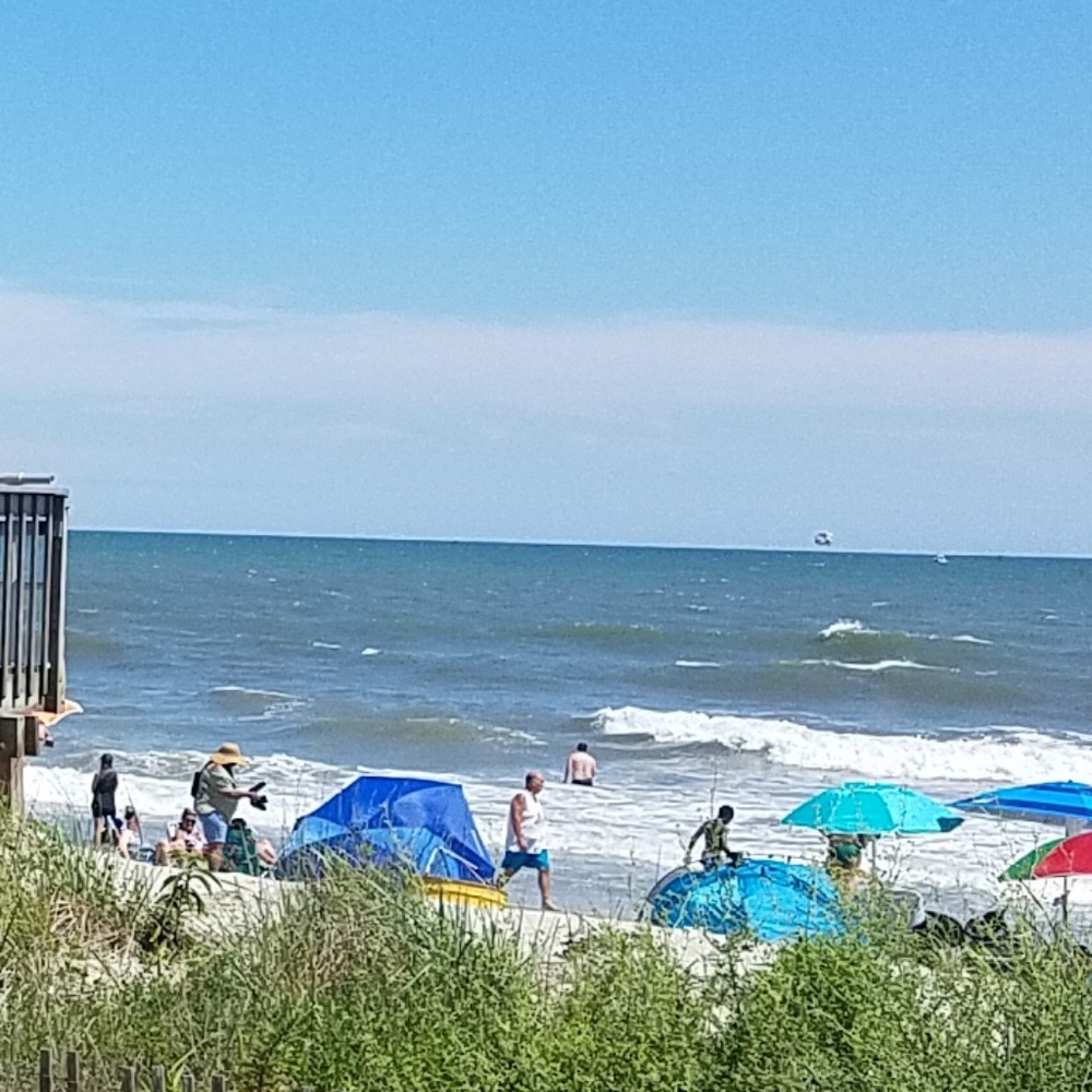 Meet your Posher, Monica